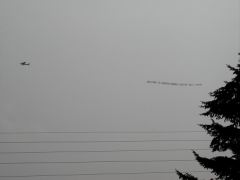 W_E8160056.jpg